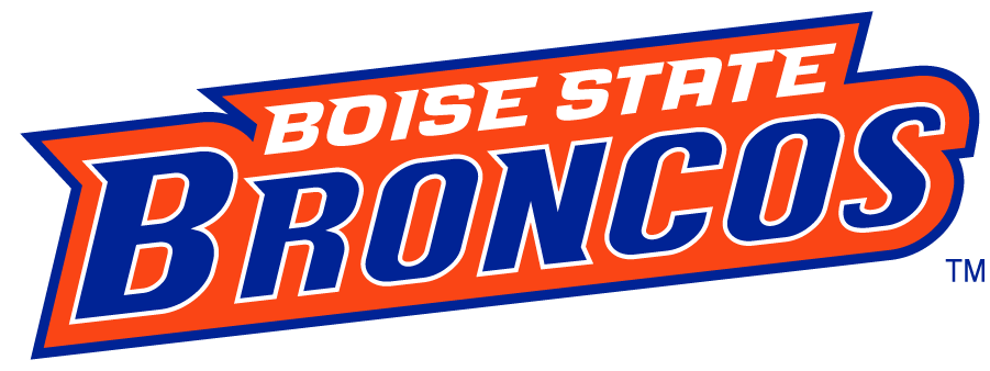 Boise State Broncos 2002-2012 Wordmark Logo v6 t shirts iron on transfers